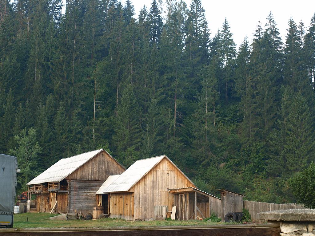 Erdély_2008_107.jpg - erdő mellett...