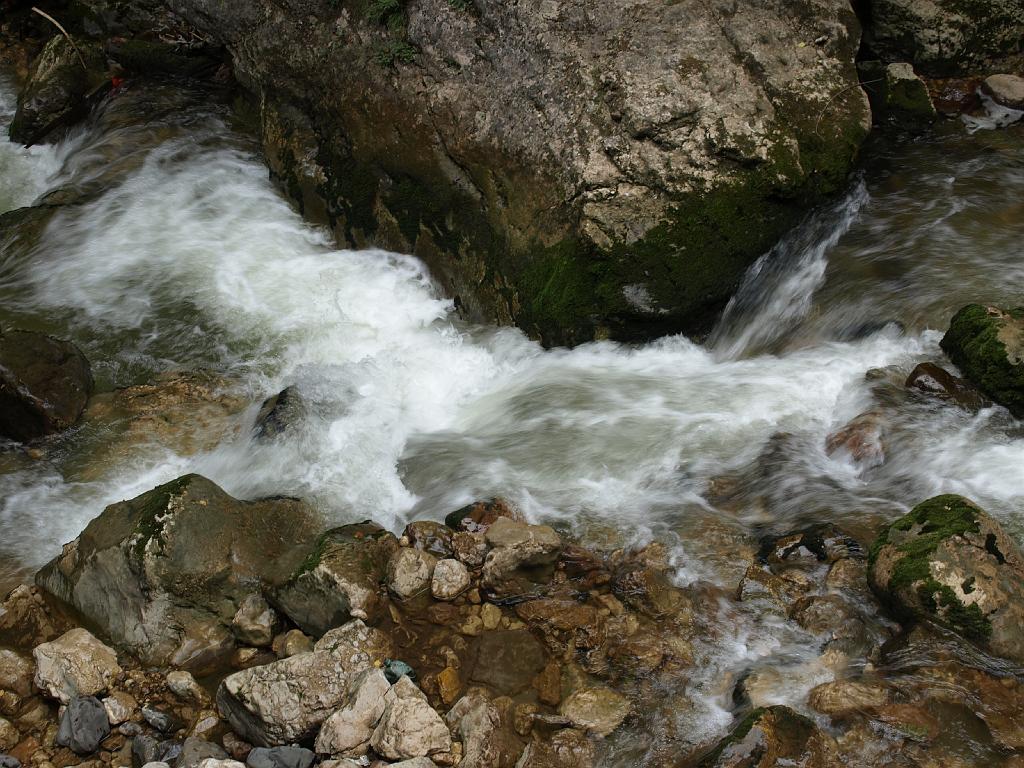 Erdély_2008_191.jpg - a Békás patak.