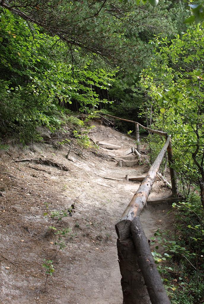 Erdély_2008_235.jpg - út a kilátóhoz.