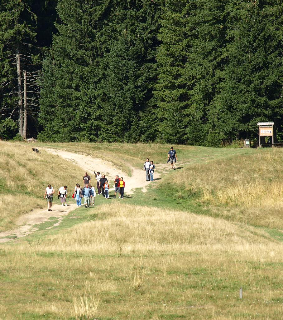 Erdély_2008_277.jpg - a csapat másik része visszatérőben a lápról.