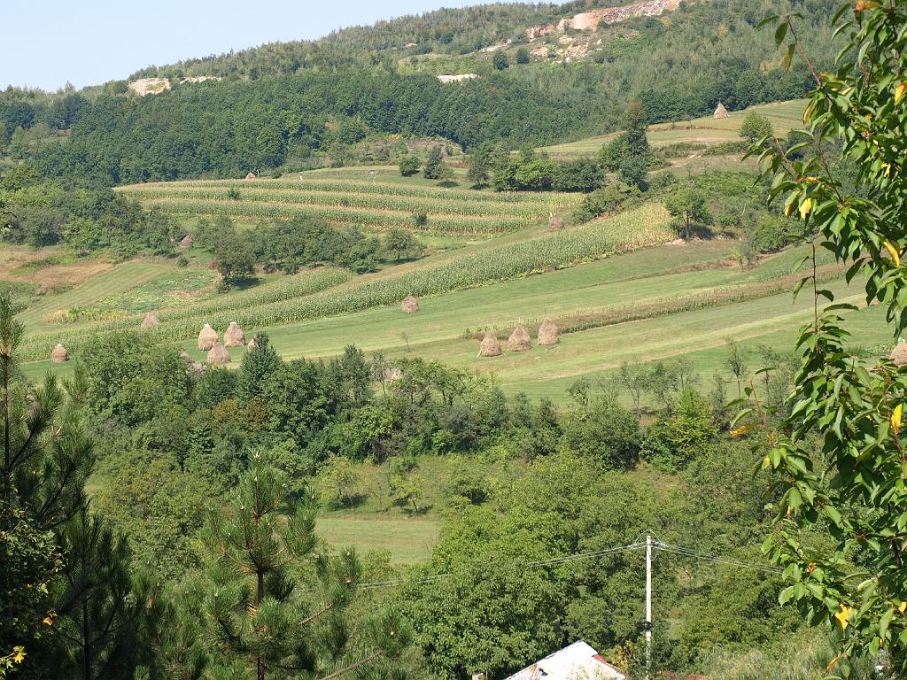 Erdély_2008_355.jpg - Belényesi táj.