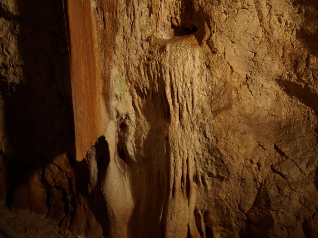 Erdély_2008_359.jpg - a Medvebarlang.