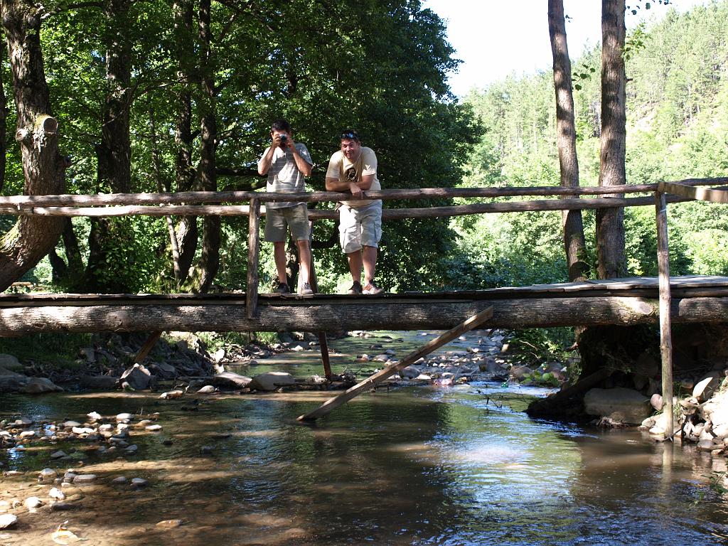 p7240804.jpg - látkép a Fenes patakból.