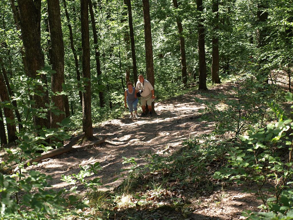 p7240830.jpg - Misisógorék az emelkedőn.