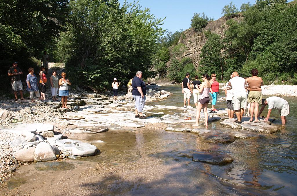p7250937.jpg - a patakmeder közelről.