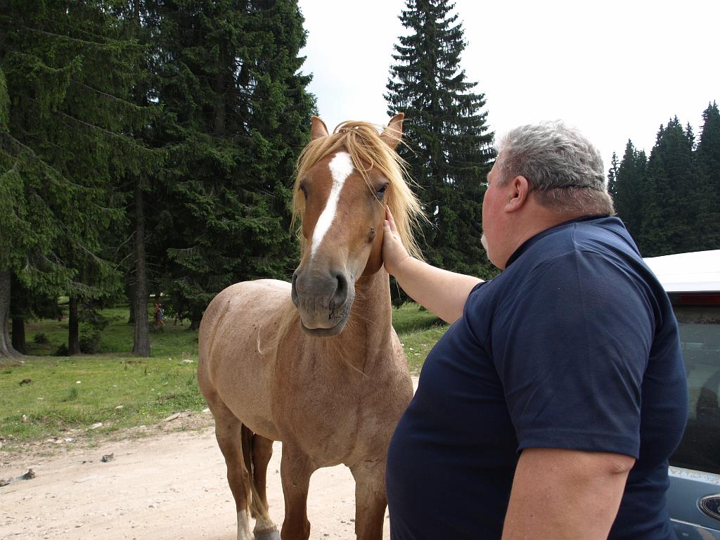 p7250983.jpg - az idén is összetalálkoztunk egy csapat lóval, amelyek szabadon vándoroltak a hegyekben.