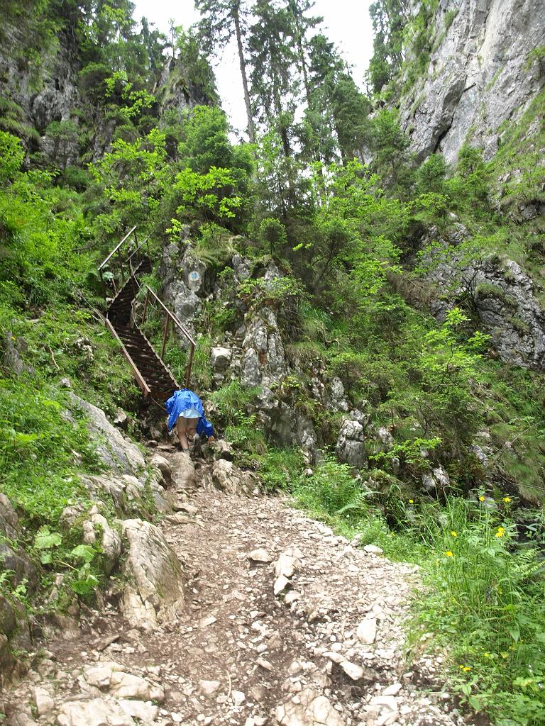 p7251063.jpg - néhol már ilyen vaslétrákon lehetett közlekedni.