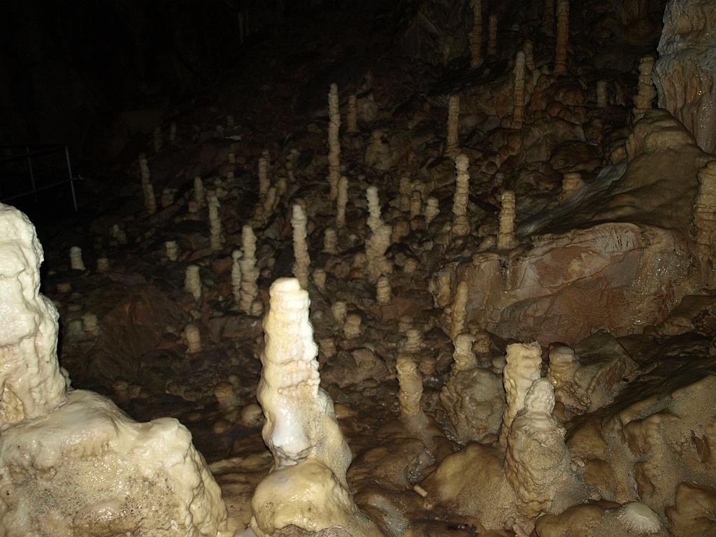 p7261285.jpg - cseppkövek a barlangban.