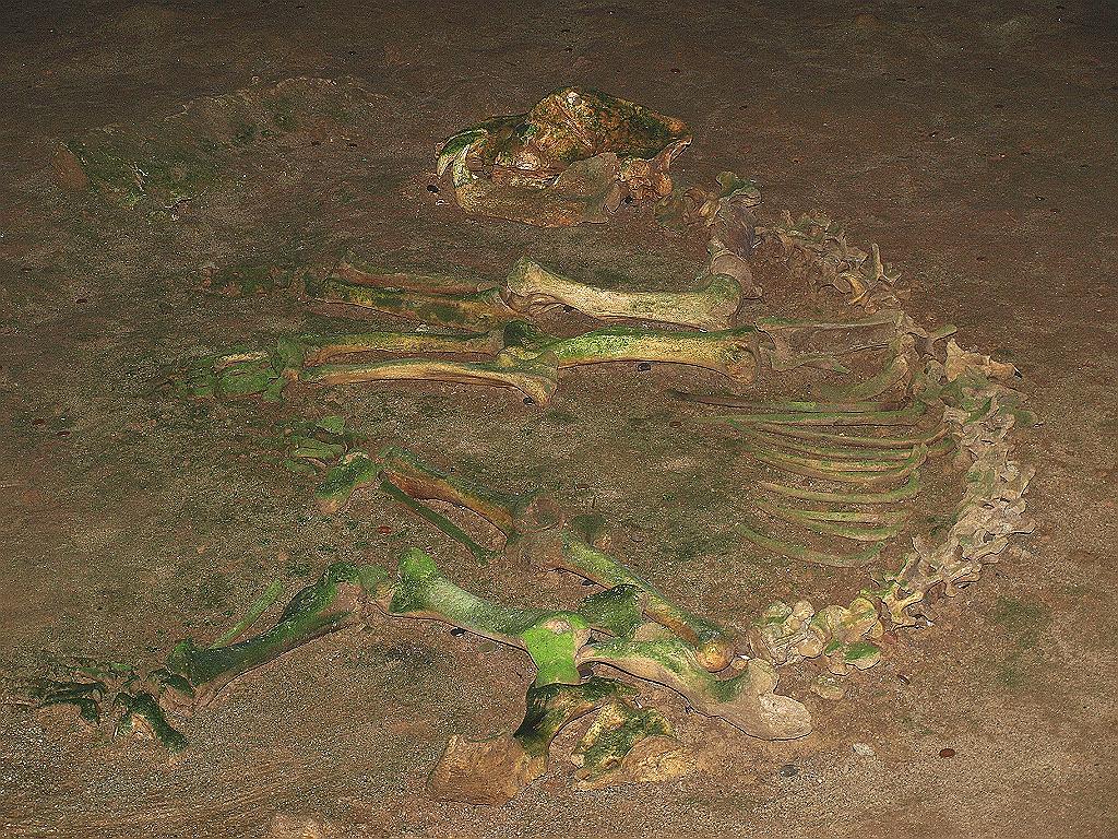 p7261317.jpg - valahogy így nézett ki.