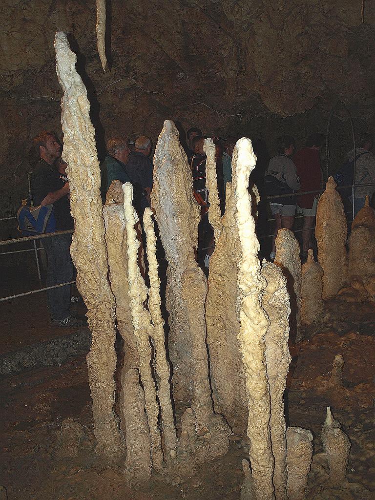 p7261368.jpg - cseppkövek a barlangban.