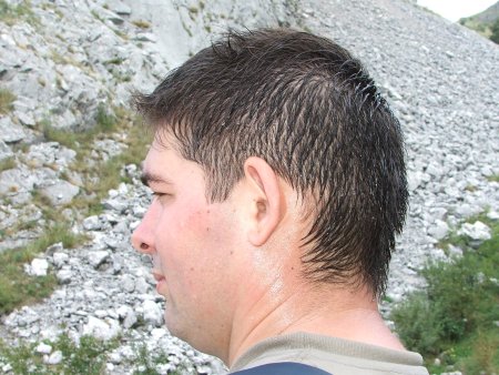 img135.jpeg.medium.jpeg