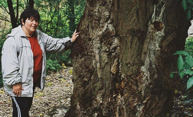 Erdély_2004_36.JPG - Sári megtámasztja a fát, ki ne dőljön.