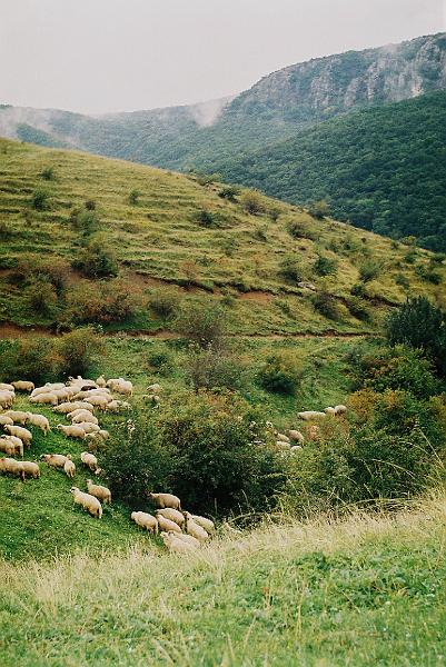 Erdély_2004_46.JPG