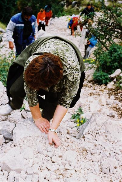 Erdély_2004_8.JPG - néhol kevés a két láb!