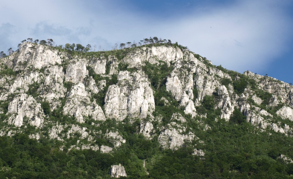 107.JPG - Cserna menti sziklafal.